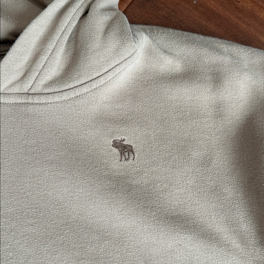 Abercrombie Kids Taupe and Stone hoodies! Boys size 15/16, great used condition! - Picture 8 of 14
